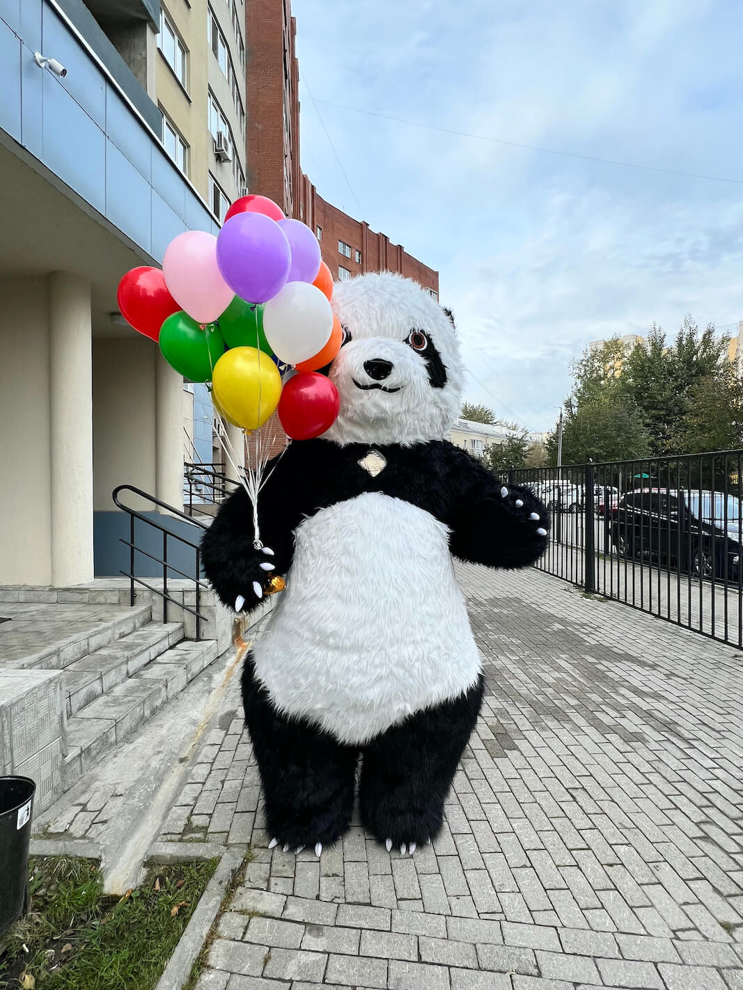 Панда для поздравления ребенка